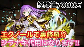 【パズドラ 】エクレールで裏修羅潜って1000ランクを目指そう‼︎シラナキ代用【エクレール】【裏修羅の限界】