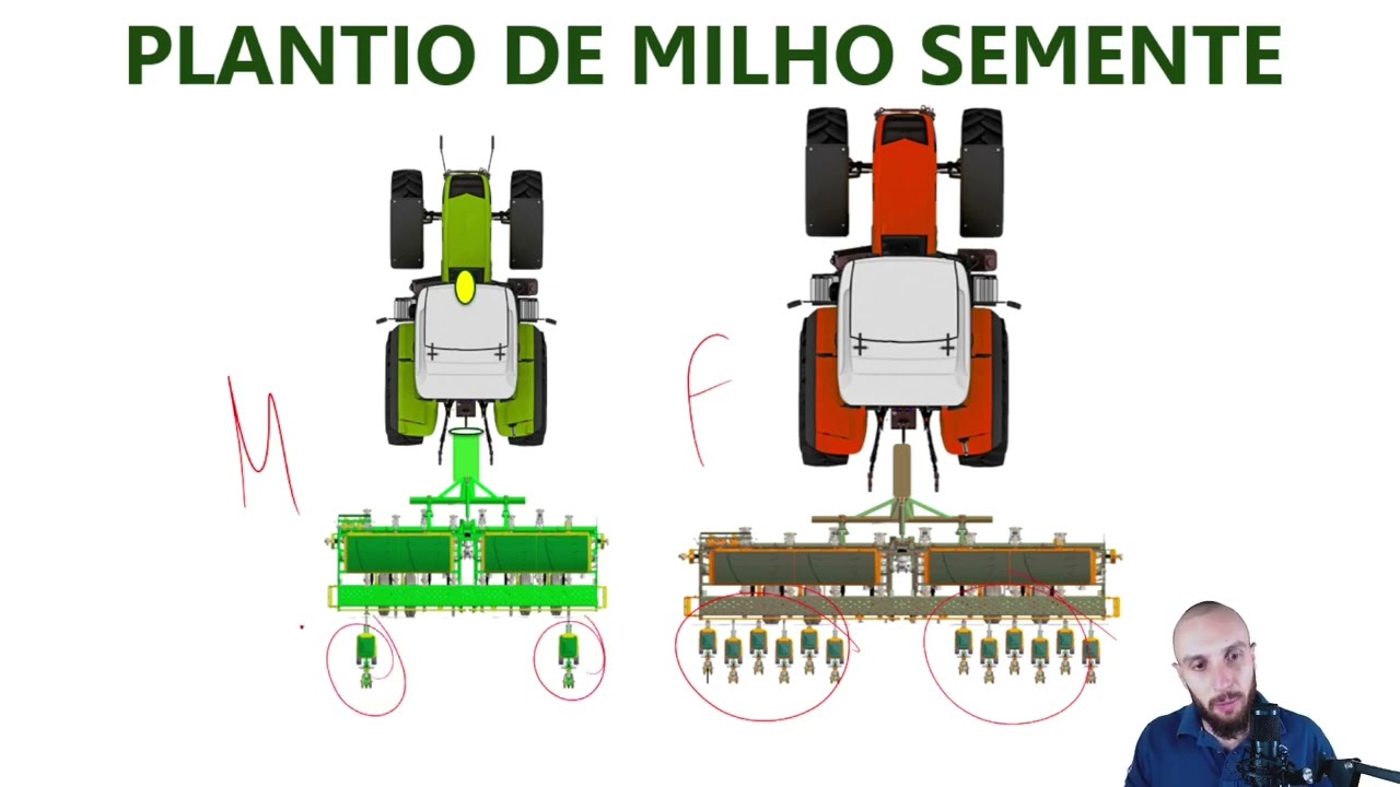 Plantio de Milho Semente