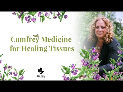 Comfrey Leaf for Healing Wounds