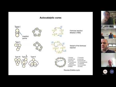 David Lacoste: Emergence of homochirality in large molecular systems