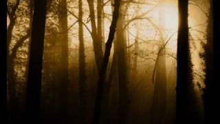 Avenging Angels - Balance Of Power