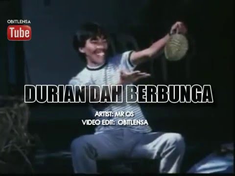 Mr Os~ Durian Dah Berbunga with lyrics
