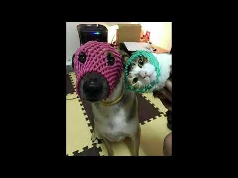 [FREE] chance the rapper x tobi lou x smino type beat " friend "