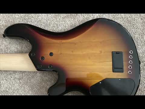 Lakland Skyline 55-01 - photos