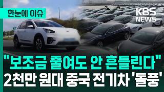 [한눈에 이슈] "보조금 줄여도 안 흔들린다"...2천만 원대 중국 전기차 '돌풍' / KBS 2026.02.11.