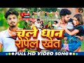 Video चले धान रोपेल खेत Samdev Love Manita Shree Chale Dhan Ropel Khet K