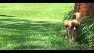 Punchline "Get Off My Train!" music video featuring Andre