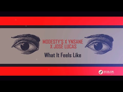 Modesty's x YNSANE x José Lucas - What It Feels Like