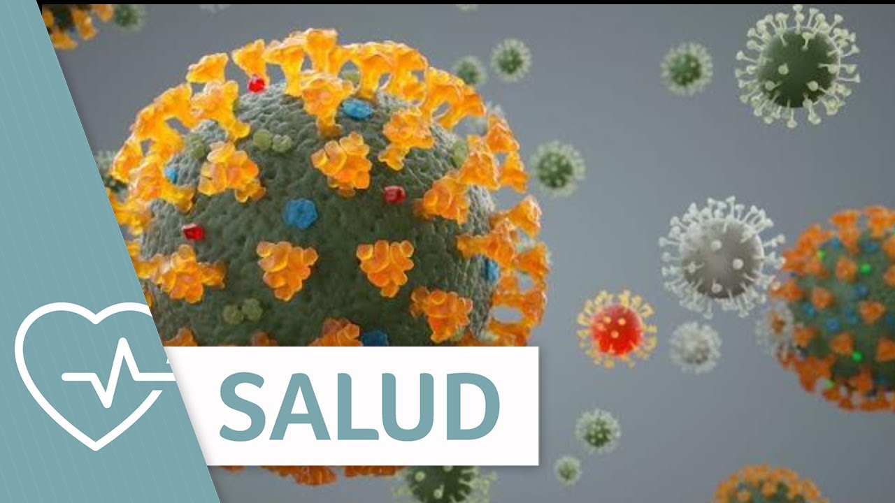 4 virus mortales para los que no hay vacuna | Salud | Telemundo Lifestyle