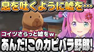 【鳴潮】祝・案件!ラブコメ展開と思いきや…ツバキ乱入で修羅場!?嘘つきカピバラにブチギレるルーナ姫※ネタバレあり【姫森ルーナ/ホロライブ切り抜き】