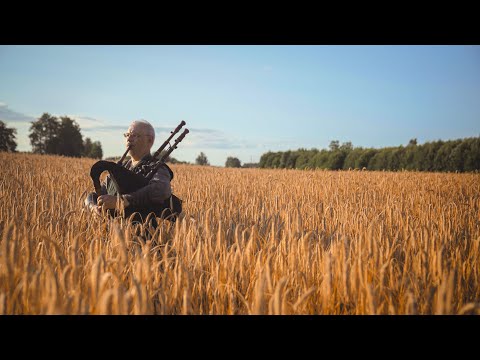 Rudzu Vārpas - Auļi