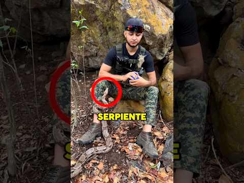 CONTROLÓ a la SERPIENTE como el MEJOR SUPERVIVIENTE 🐍🤯 #shorts #wow #curiosidades #sabiasque #win