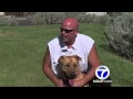 New Mexico Rez Dog Rescue gives hundreds on animals a new home