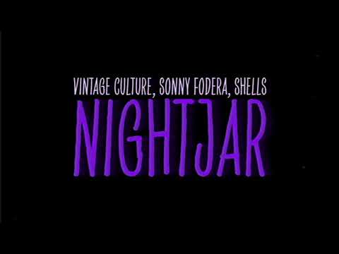 Vintage Culture, Sonny Fodera Feat. SHELLS - Nightjar (Extended Mix)