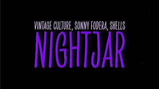 Vintage Culture & Sonny Fodera ft Shells - Nightjar (DeepDisc) video