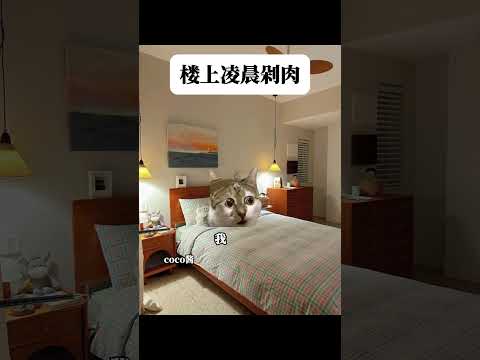 凌晨剁肉扰民？唢呐伺候！ #猫meme #段子#搞笑#看一遍笑一遍