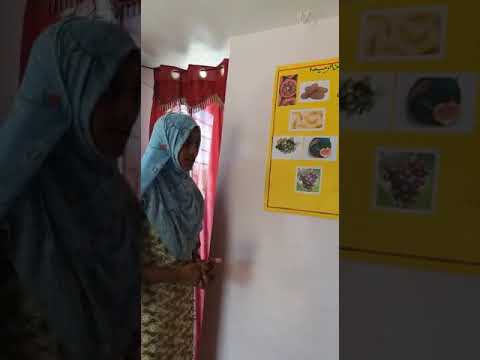 Qurqnic fruites Project By Amatullah Student of DTK