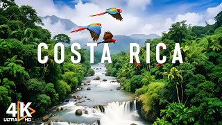 Costa Rica Rainforest 4K Happiest Country On Earth With Exotic Wildlife Travel Video  Costa