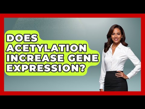 Does Acetylation Increase Gene Expression? - Biology For Everyone