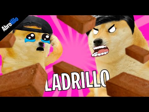 BRICK HITS OLD LADIES