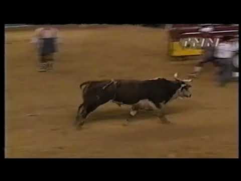 Hollywood bucks Justin McBride - 00 PBR Greensboro