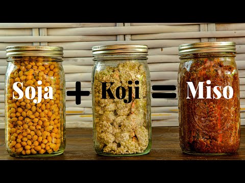 Miso selber machen - Fermentieren mit Koji
