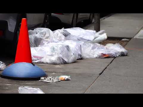 There should be a school to teach Children about Environmental Issues - June 18, 2022