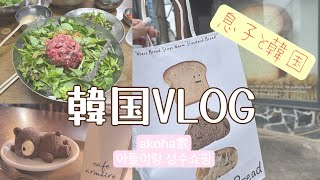 【息子と韓国編VLOG】아들이랑 성수쇼핑｜ユッケ＆カムジャタン＆メンズファッション/Son & Mom Seoul