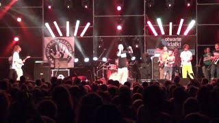 Ga-Ga / Zielone Żabki „Pod McDonaldem” (Festiwal „Przystanek Woodstock”, Kostrzyn n. Odrą, 2014) – kampania „Muzyka Przeciwko Rasizmowi”.