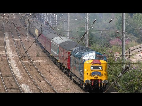 55009 'Alycidon' working 1Z20 'The Capital Deltic Reprise' at Hitchin | 29/07/23
