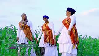 Download lagu DHANTO CUSUB ILYAAS CABDI 4K mp3