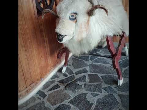 Maramures & Casa traditiilor ieud 2019 ianuarie