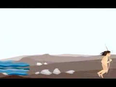 selknam culture History of the dolphins