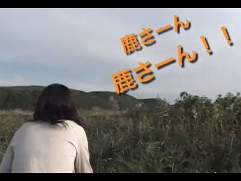 最北の野生生物を探せ【2008年作品】