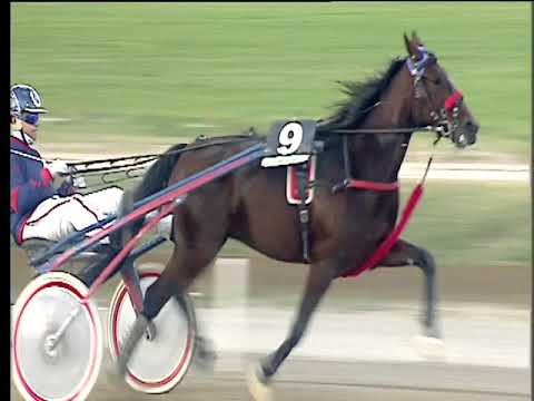 Trotto 19/11/2017 - 1ª corsa