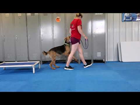 Muzzy: Send to Place