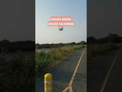 Arcata California 🌞 Bike Ride