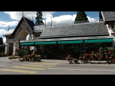 LANCY TV - Sujet - 50 ans de Simeoni