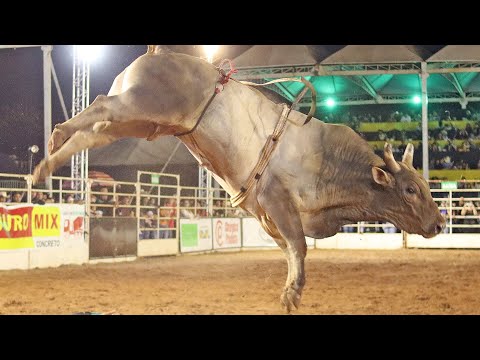 FINAL EM TOUROS - Rodeio de RIBEIRÃO DO SUL 2023 (Oficial 4K)