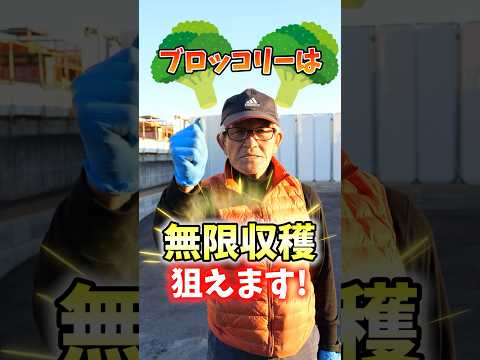家庭菜園に最適なマルチは何ですか?収穫量を増やすための 3 つのオプション!  庭園