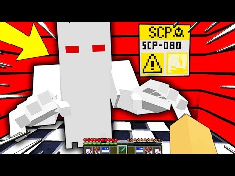NON DOVEVO GUARDARLO NEGLI OCCHI! - SCP 080 Minecraft ITA