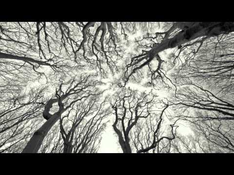 BLCKNOISE - Creep (Radiohead cover)