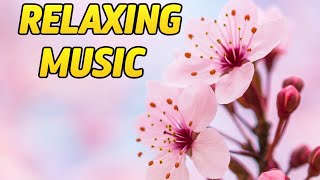 Relaxing Sleep Music 🌿 Relieve Stress, Anxiety and Depression, Meditation Music Relax Mind Body, Spa