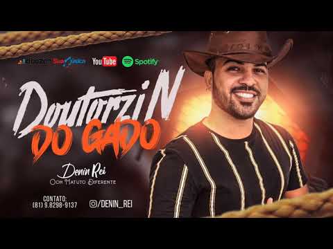 PISEIRO - VAQUEJADA - DENIN REI - DOUTORZIN DO GADO - MÚSICA NOVA - AGOSTO 2020.