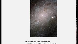 matando a los animales eventualmente te matars a ti mismo, pequeo