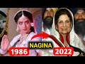 Nagina 1986 Movie Star Cast Then And Now 2022 Shree Devi Then And Now