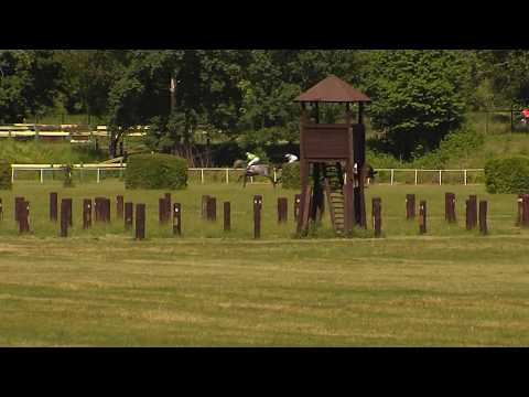 TOP 11.06.2017 - Dostihy 4 - Cena obce Žikava