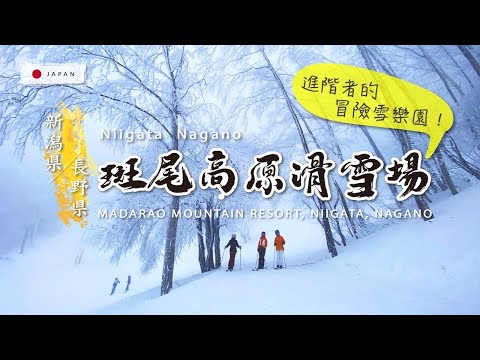 斑尾高原滑雪場－進階滑雪上癮者的口袋名單。大量鬆雪與非壓雪雪道+高達10條合法樹林路線+假日不擁擠!。更棒的是它有多條初學者友善雪道!