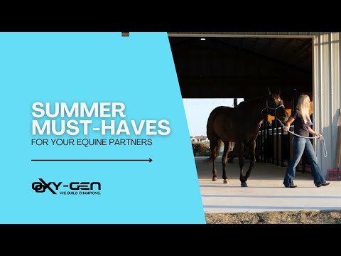 Summer Must-Haves for Equine Performance Horses: E-Charge Paste, Oxy Pulmon, and Sweat More