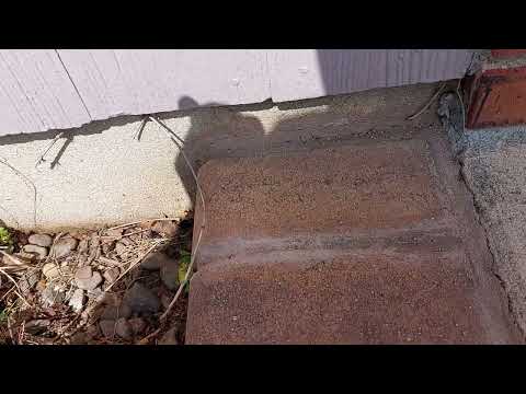 Why Landscaping & Pest Control Go Hand-in-Hand in Milltown, NJ